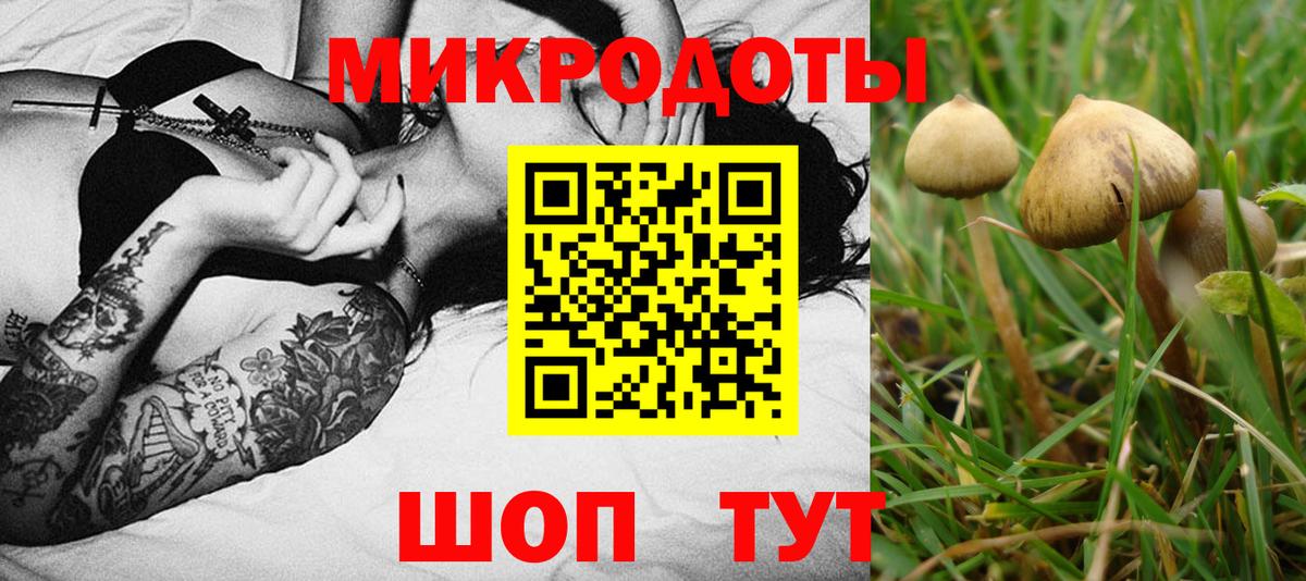 Галлюциногенные грибы MAGIC MUSHROOMS Ставрополь