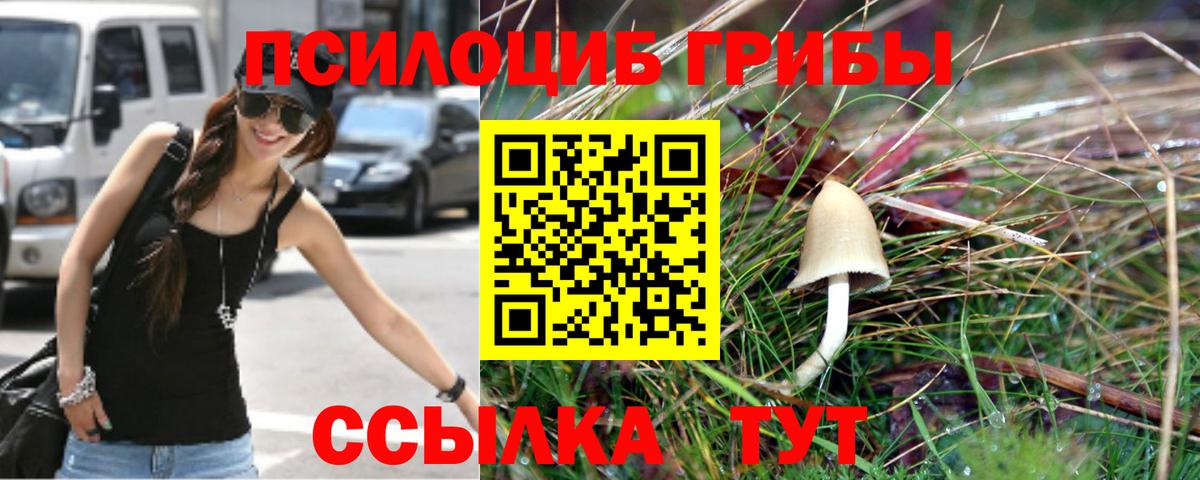 Галлюциногенные грибы GOLDEN TEACHER  Вход с VPN  Ставрополь 