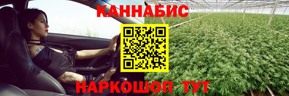 Бошки марихуана VHQ Ставрополь